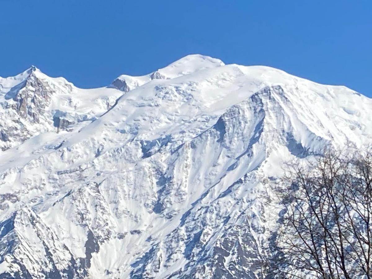 Les Edelweiss Mont-Blanc - Gite Classe 3 Etoiles Passy  Exterior photo