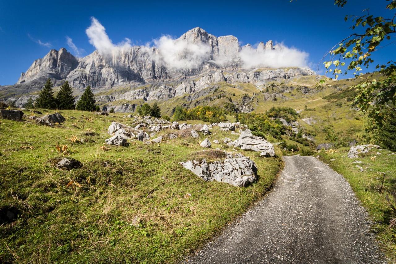 Les Edelweiss Mont-Blanc - Gite Classe 3 Etoiles Passy  Exterior photo